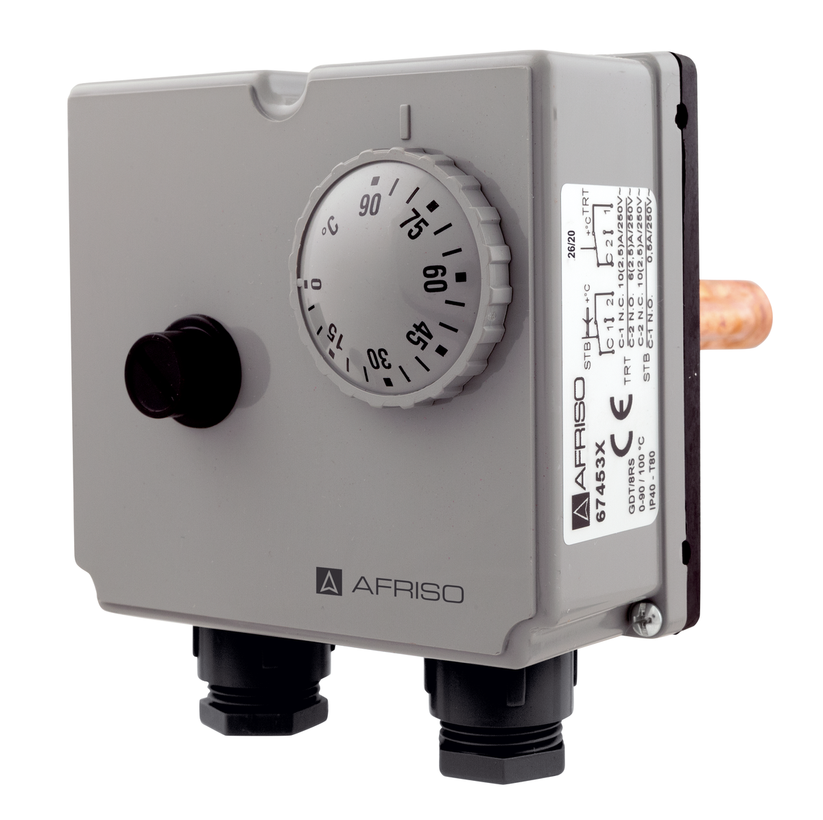 AFRISO Gehäuse-Doppelthermostat GDT/8RS 0/90C (100C), Schaftlänge: 100mm SAR 73160