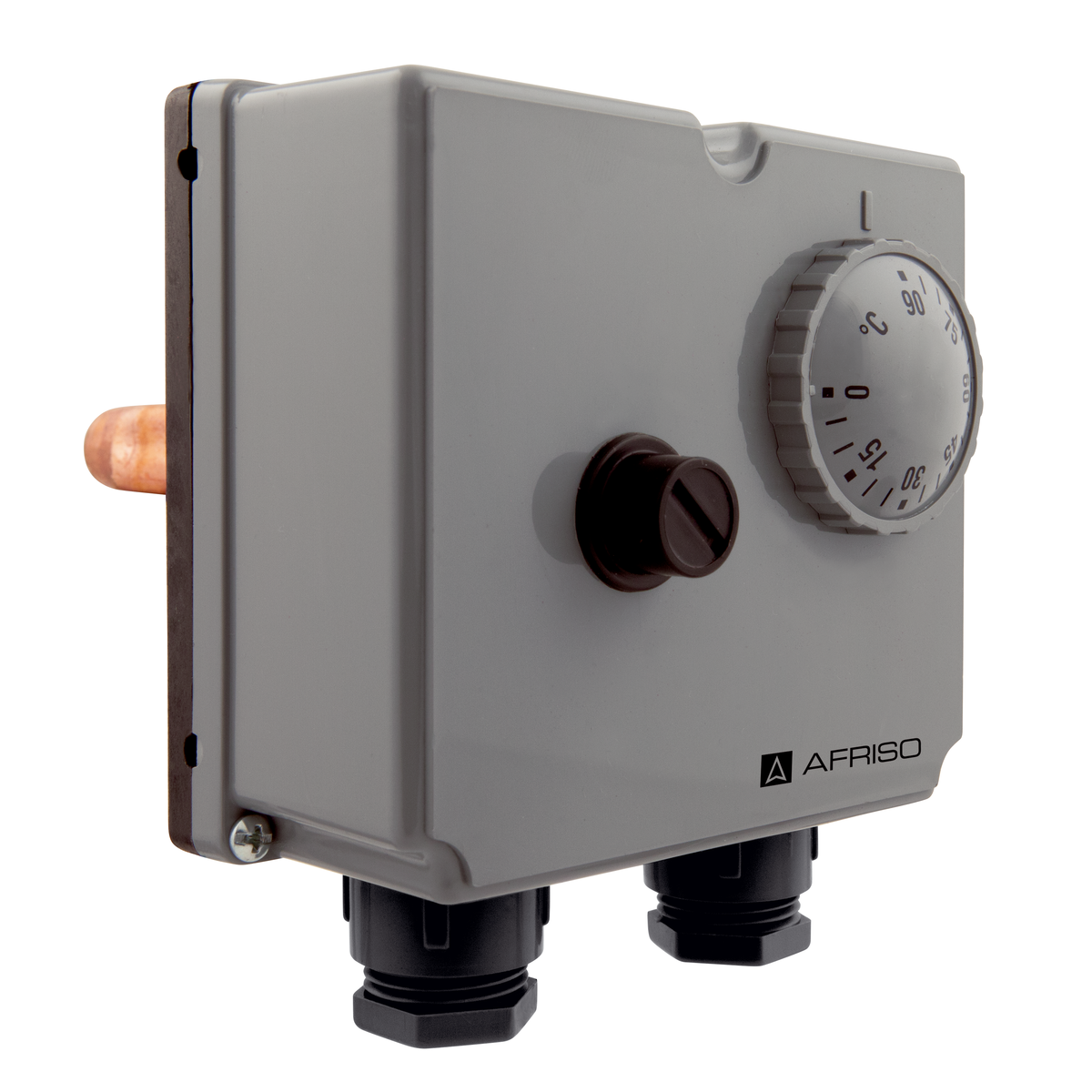 AFRISO Gehäuse-Doppelthermostat GDT/8RS 0/90C (100C), Schaftlänge: 100mm SAL 73160